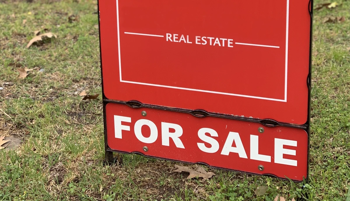 La révolution verte de l'immobilier : quand l'écologie dicte le marché